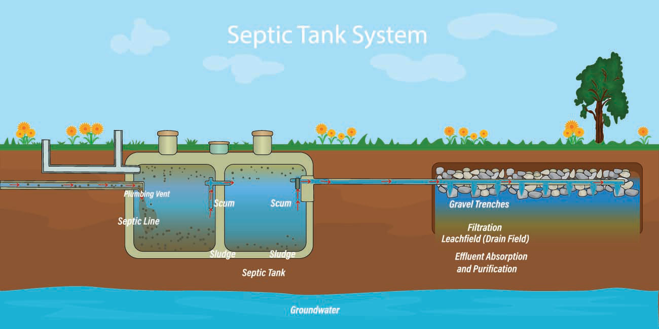 Diagram of how a Septic Tank System Works